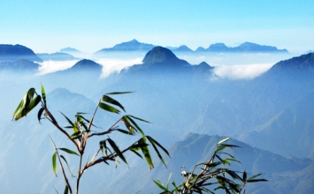 Chiếc khăn sạch